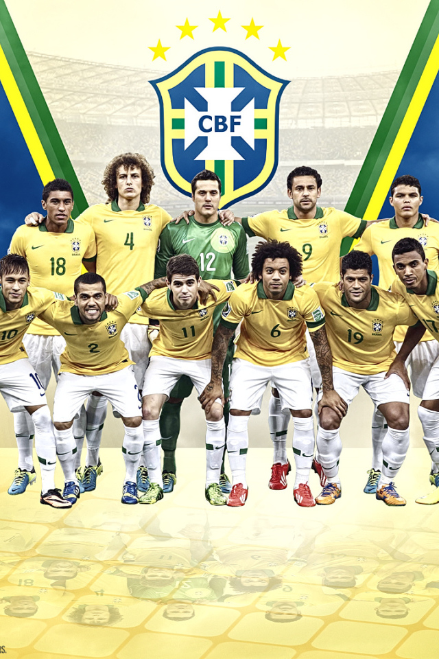 Национальная сборная Бразилии на Чемпионате мира по футболу в Бразилии 2014