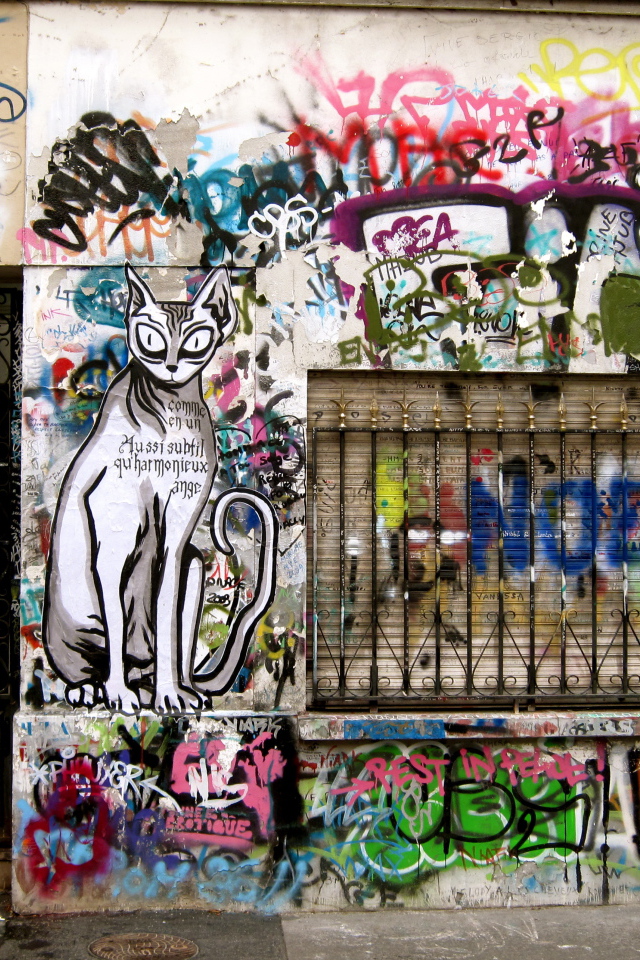 Нарисованный кот