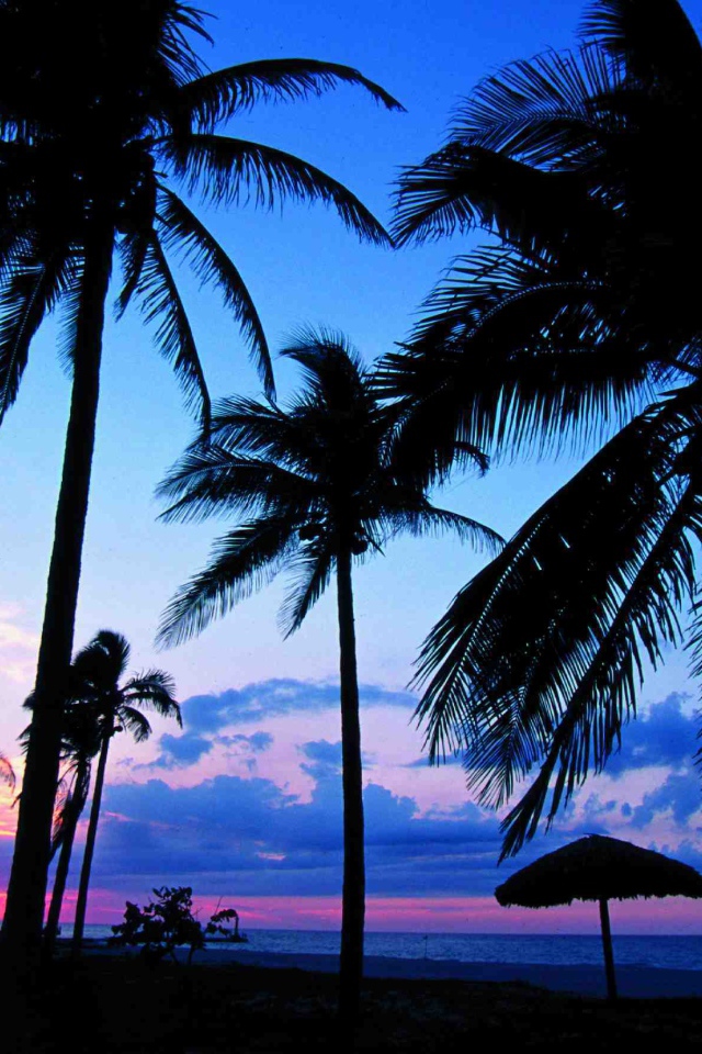 Пальмы на фоне заката на курорте Гуардалавака, Куба