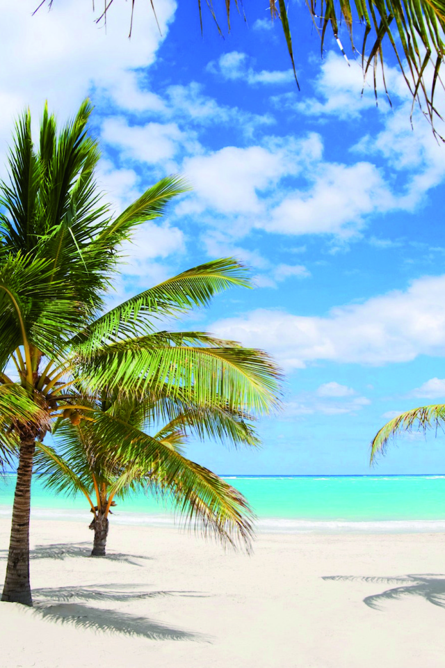 Пальмы на песке на курорте Кайо Энсеначос, Куба