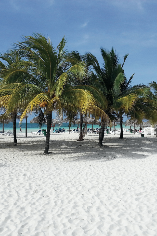 Пальмы на пляже на курорте Кайо Коко, Куба