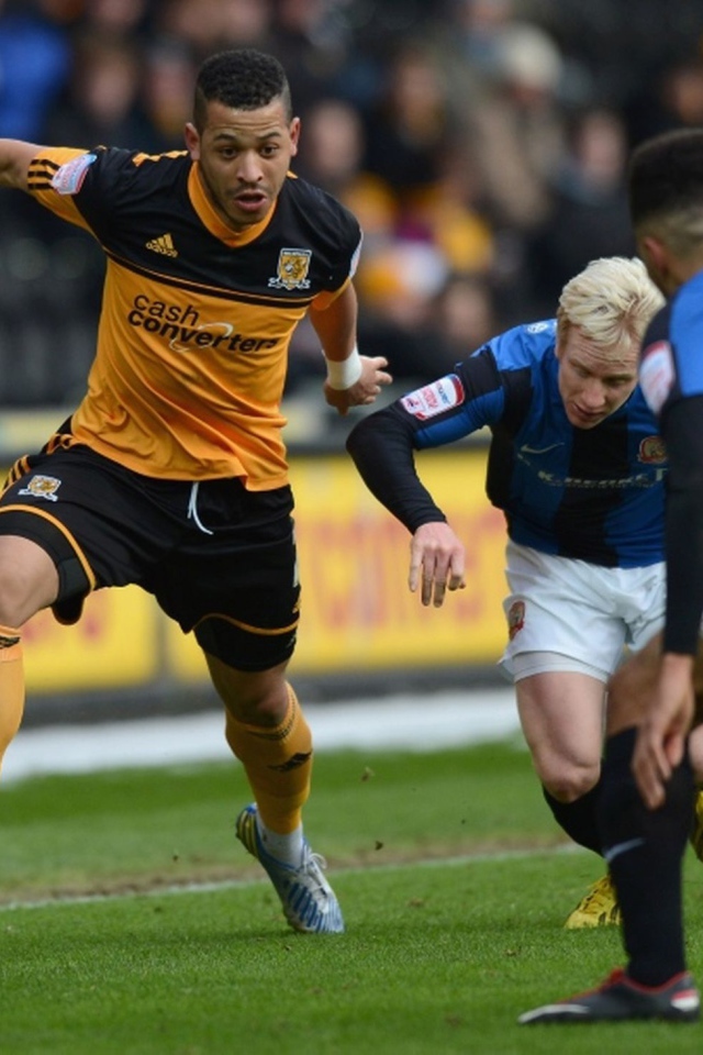 Популярный Футбольный клуб Халл Сити