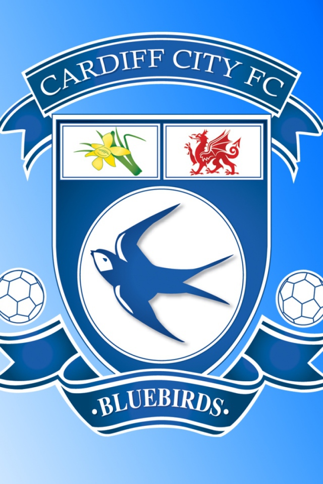 Популярный Футбольный клуб Кардифф Сити