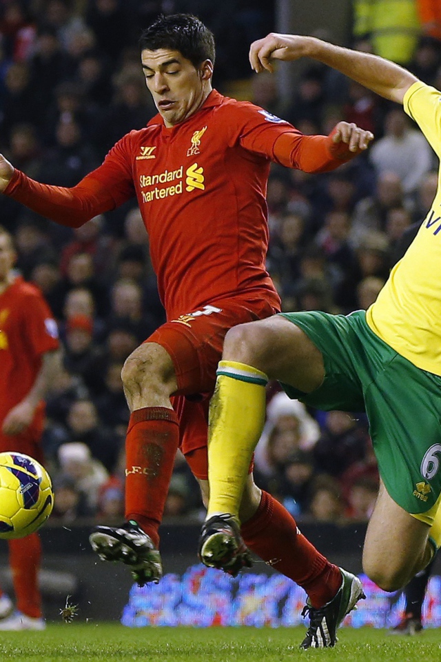 Популярный Футбольный клуб Англии Норвич