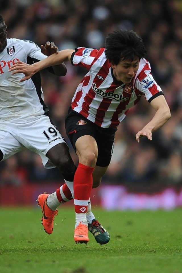 Популярный Футбольный клуб Фулхэм