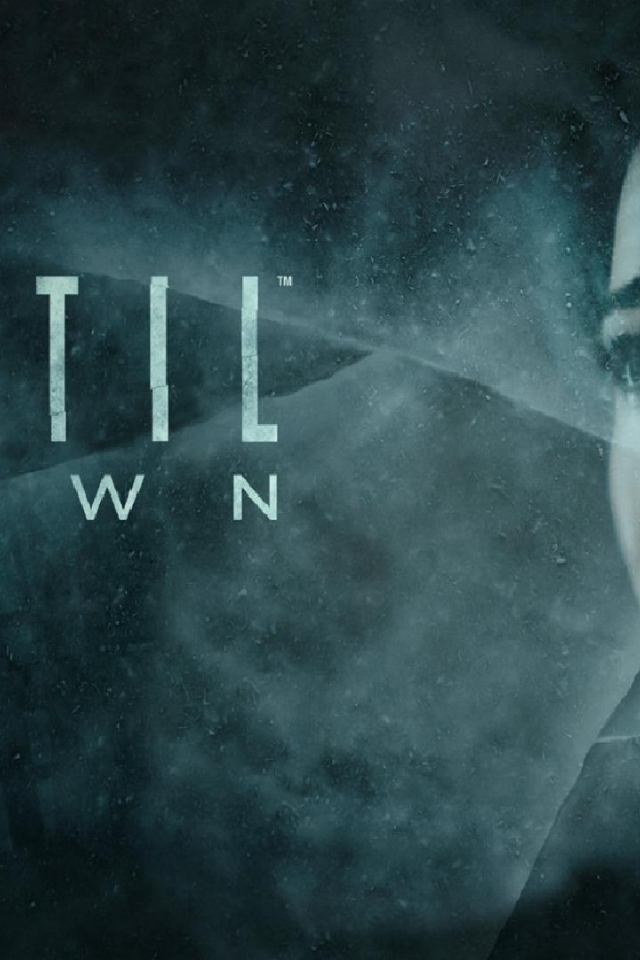 Постер игры Until Dawn