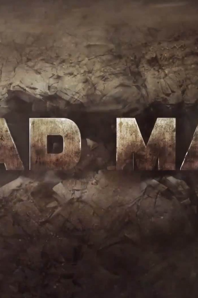 Постер игры Mad Max