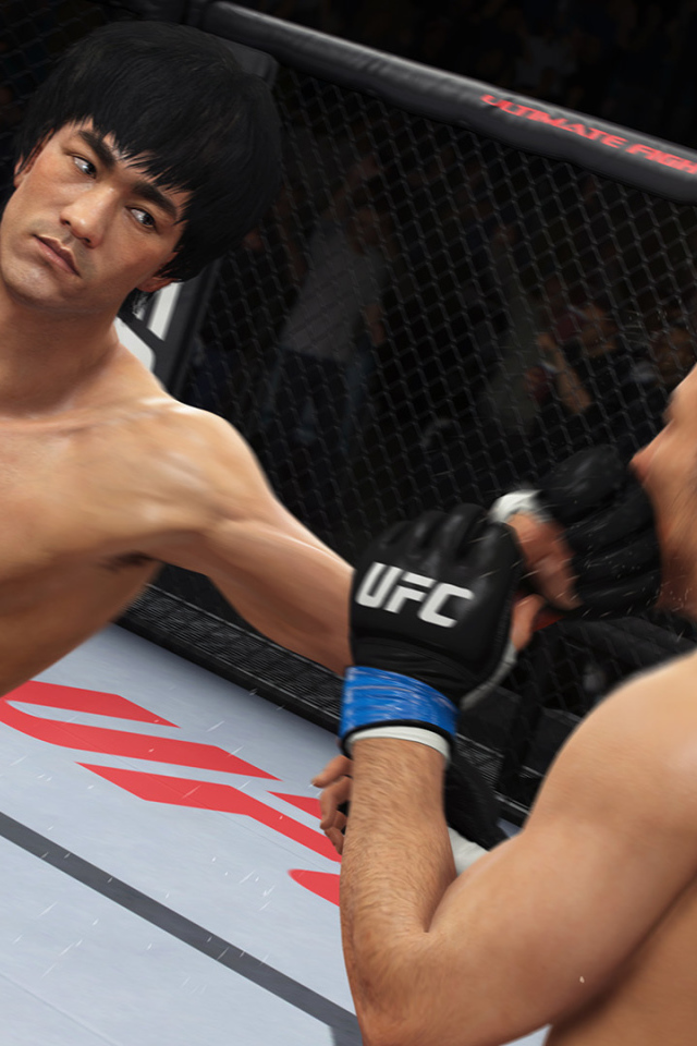 Схватка в игре EA SPORTS UFC