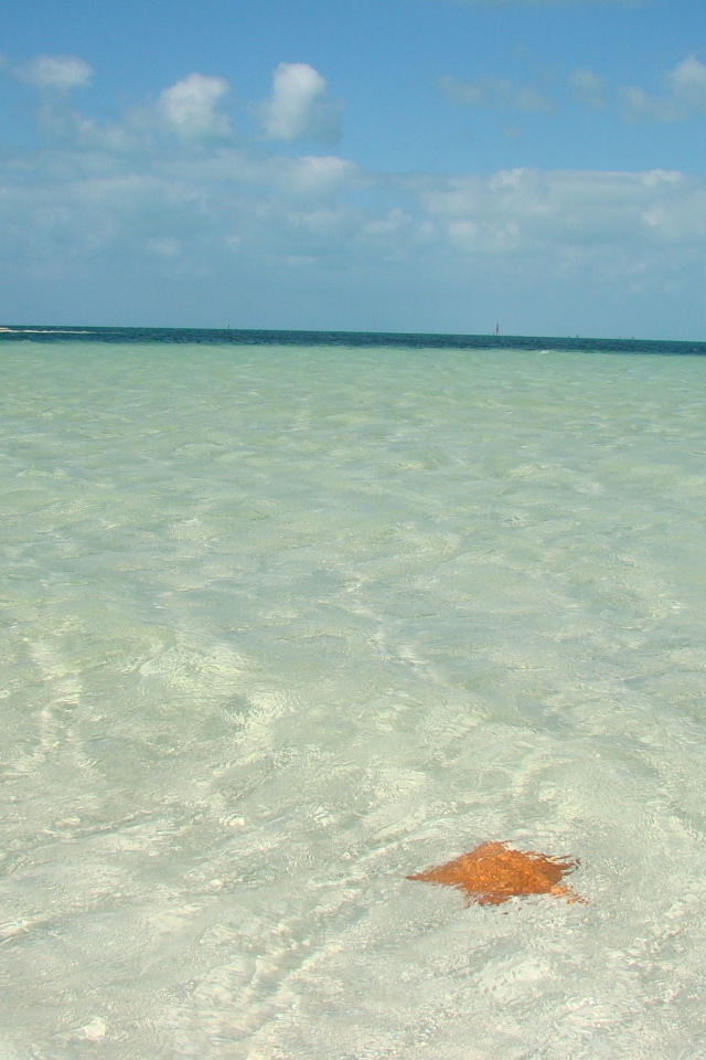 Мелководье на курорте Кайо Ларго, Куба