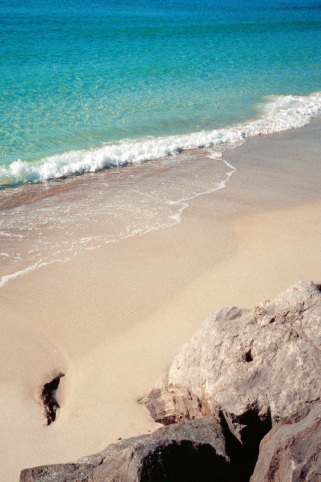 Берег Панамы