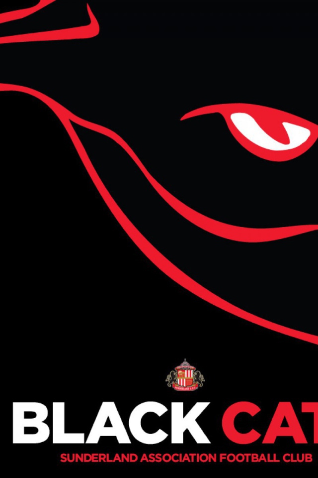 Любимая команда футбола Англии Сандерленд