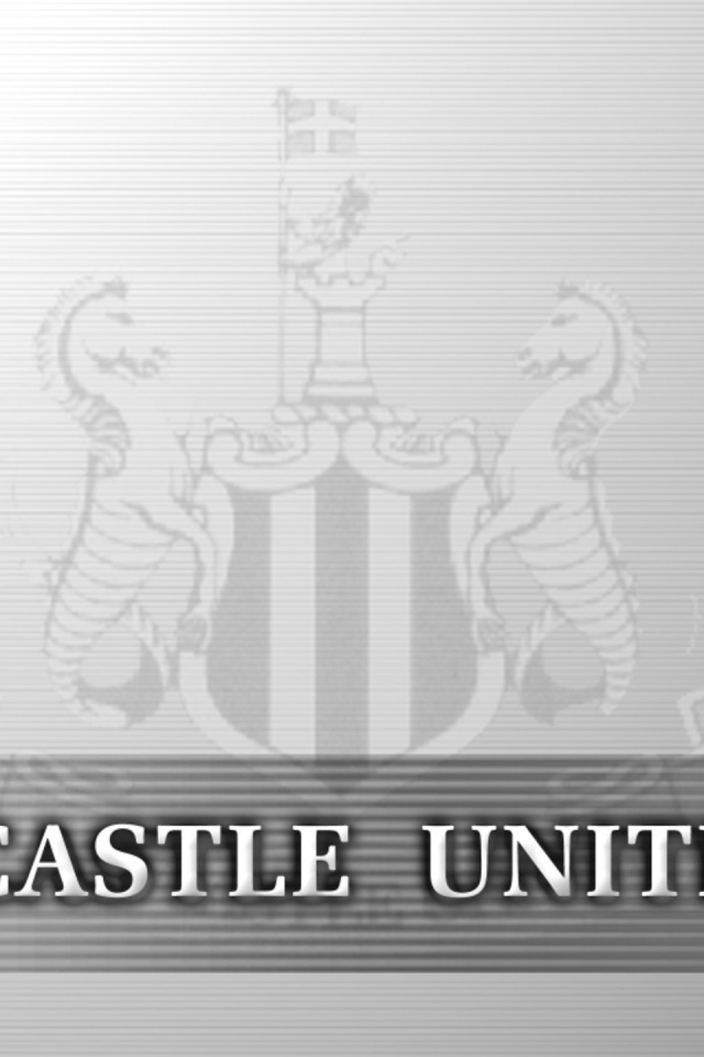 Знаменитый футбольный клуб Англии Ньюкасл Юнайтед