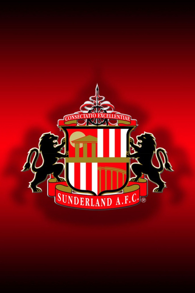 Знаменитая футбольная команда Англии Сандерленд