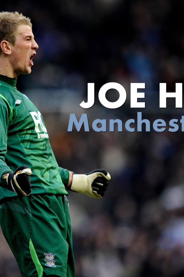 Футбольная команда Англии Манчестер Сити