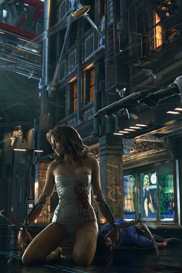 Мир игры Cyberpunk 2077