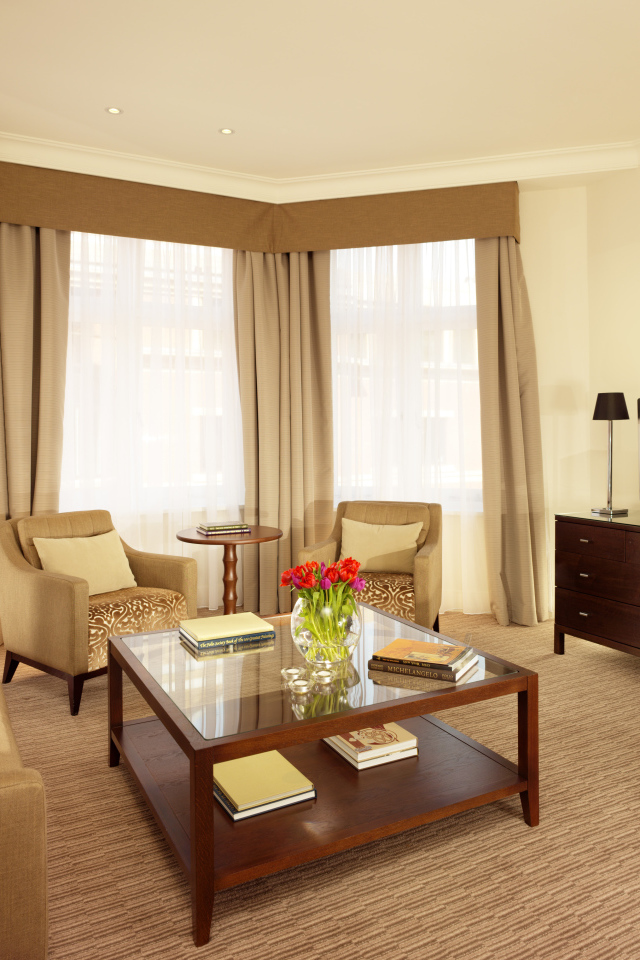 Овальная форма гостиной