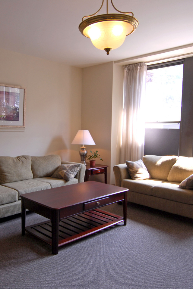 Солнце светит в окно гостиной