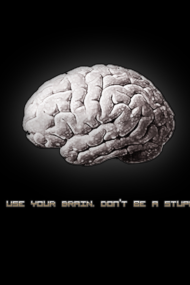 Используй свой мозг