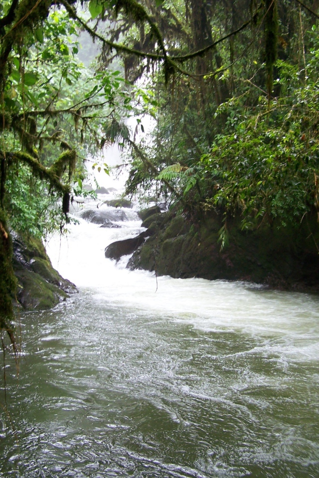 Водопад и река в Коста-Рика