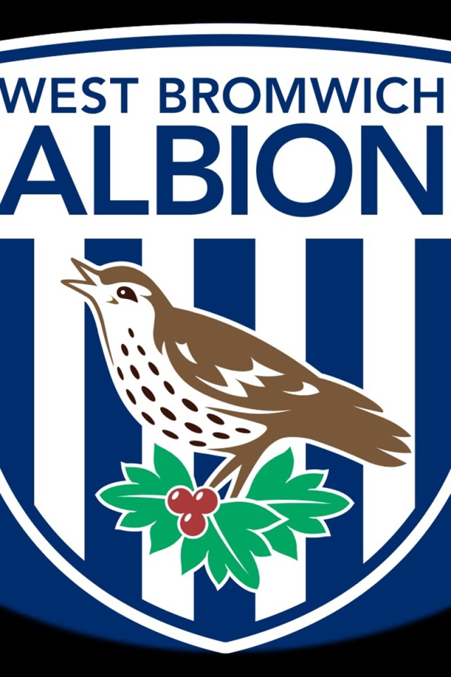 Вест Бромвич Альбион
