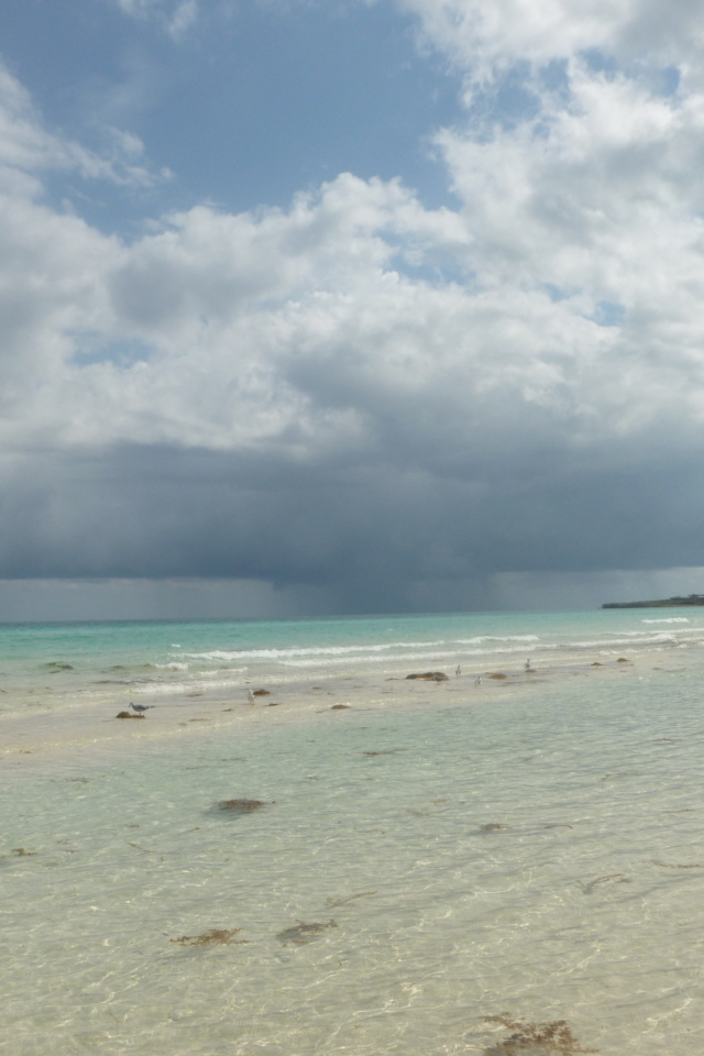 Зимний отдых на курорте Кайо Коко, Куба