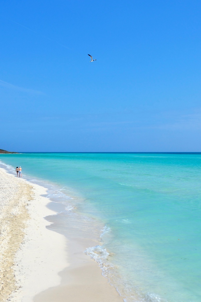 Зимний отдых на пляже на курорте Кайо Гильермо, Куба