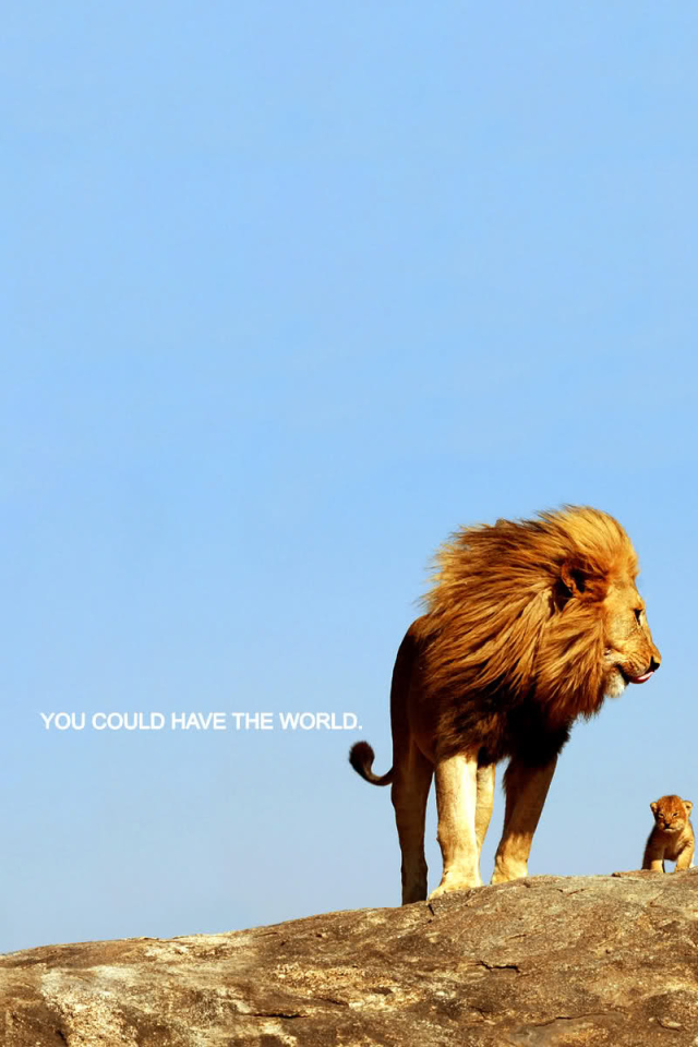 Ты можешь покорить весь мир