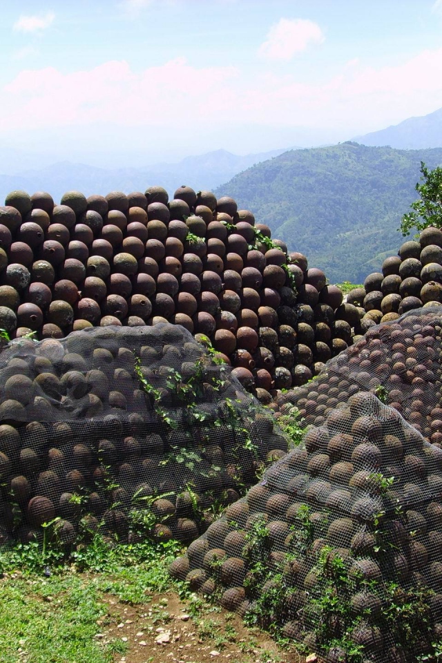 Знаменитая страна Гаити