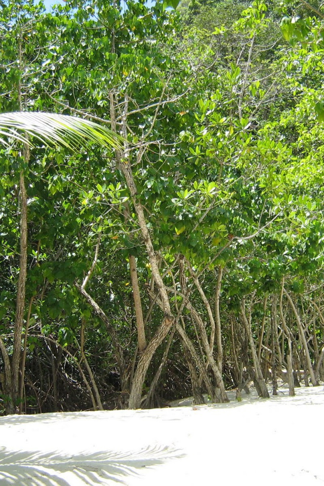 Захватывающие дух место в Гаити