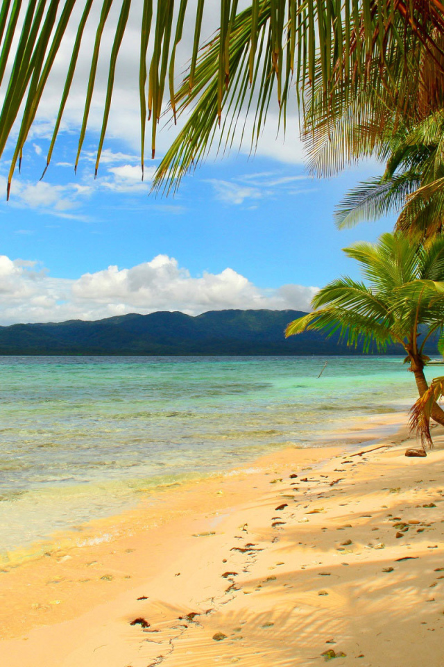 Эффектное Панама