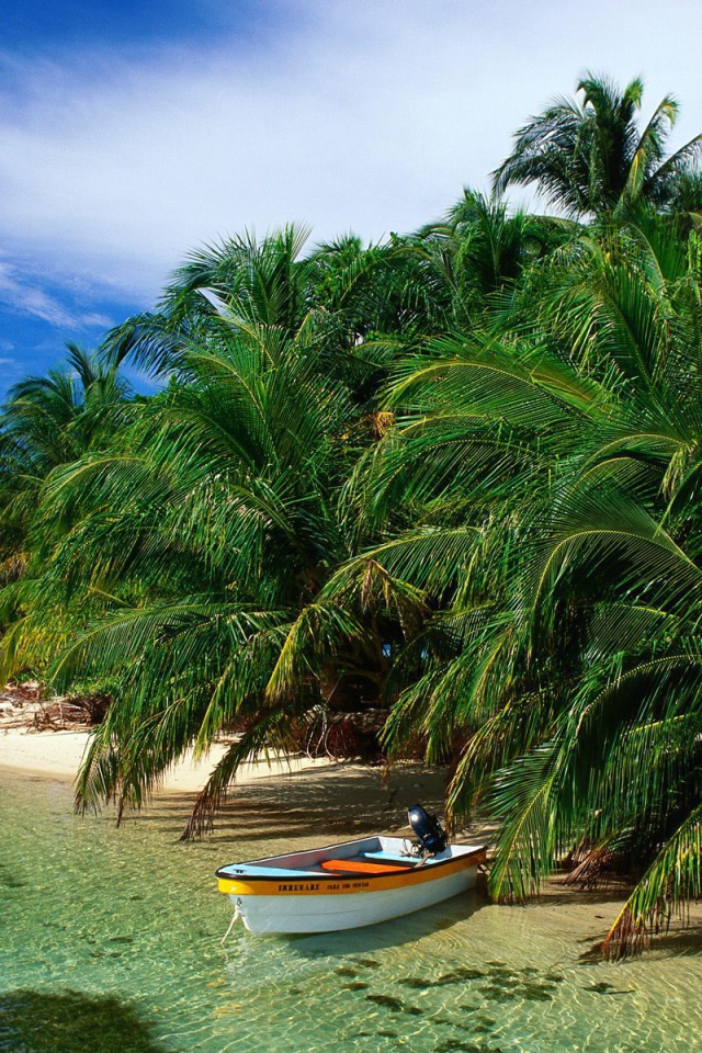 Привлекательное Панама