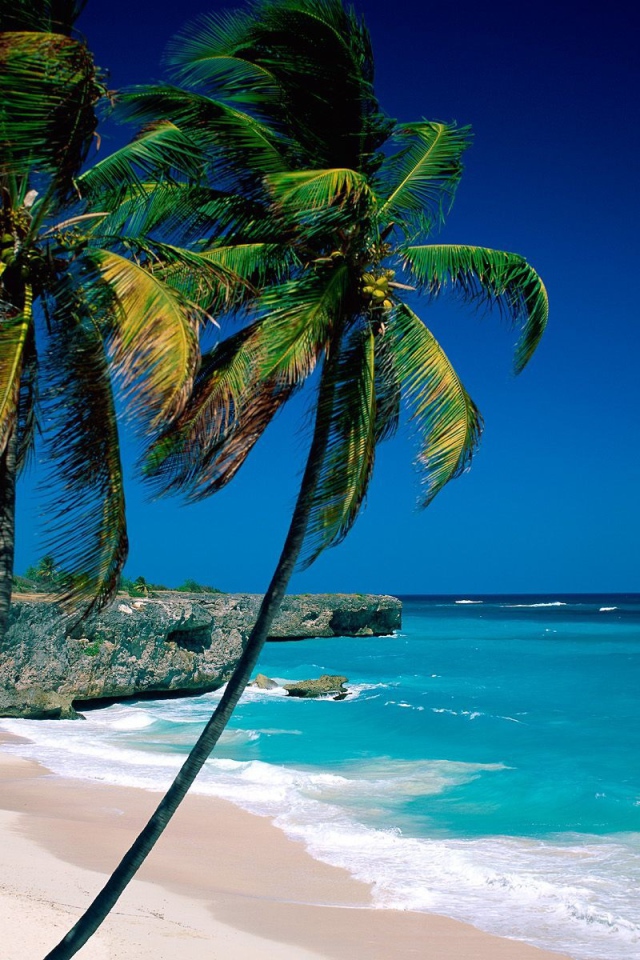 Захватывающие дух Панама