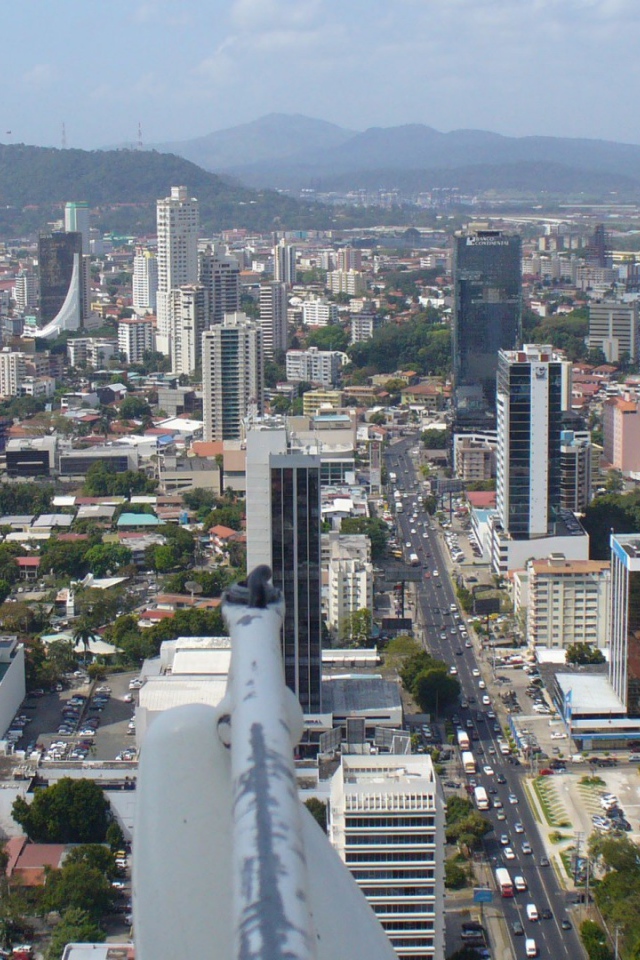 Элегантное Панама