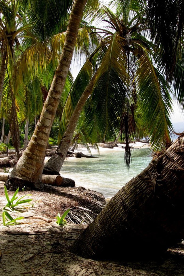 Замечательная страна Панама