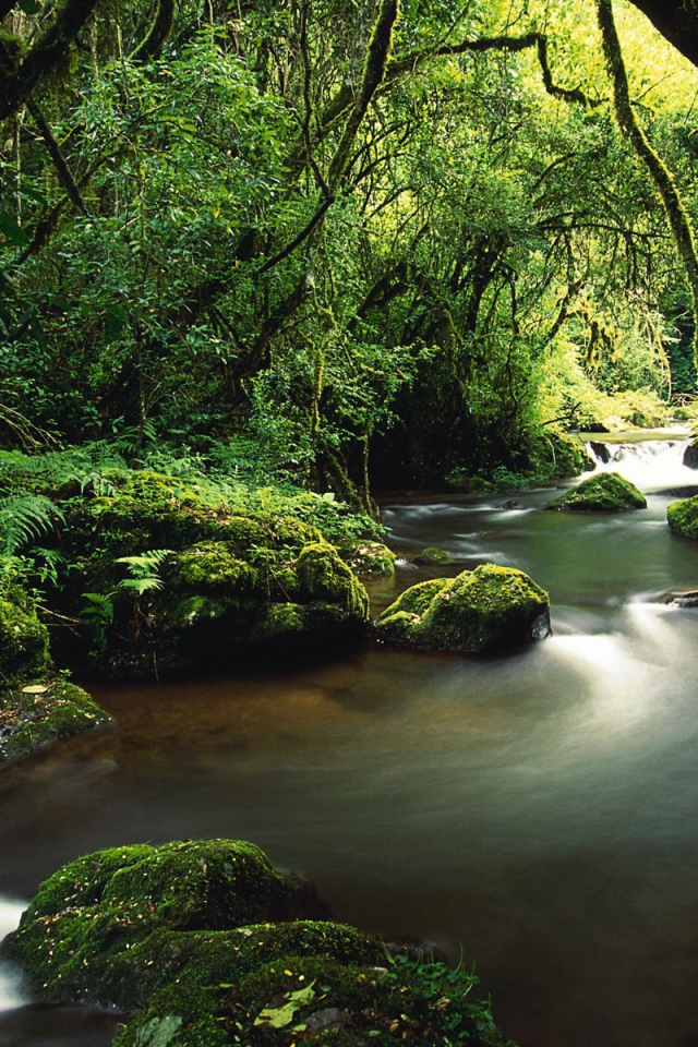 Туристическое Коста-Рика