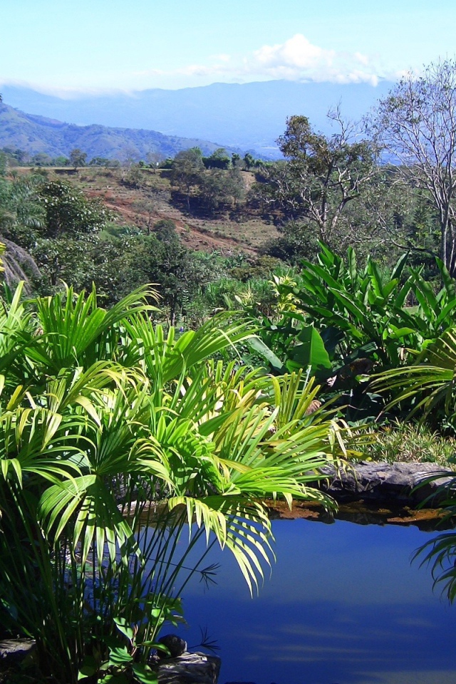 Привлекательное Коста-Рика