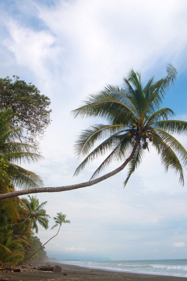 Великое Коста-Рика