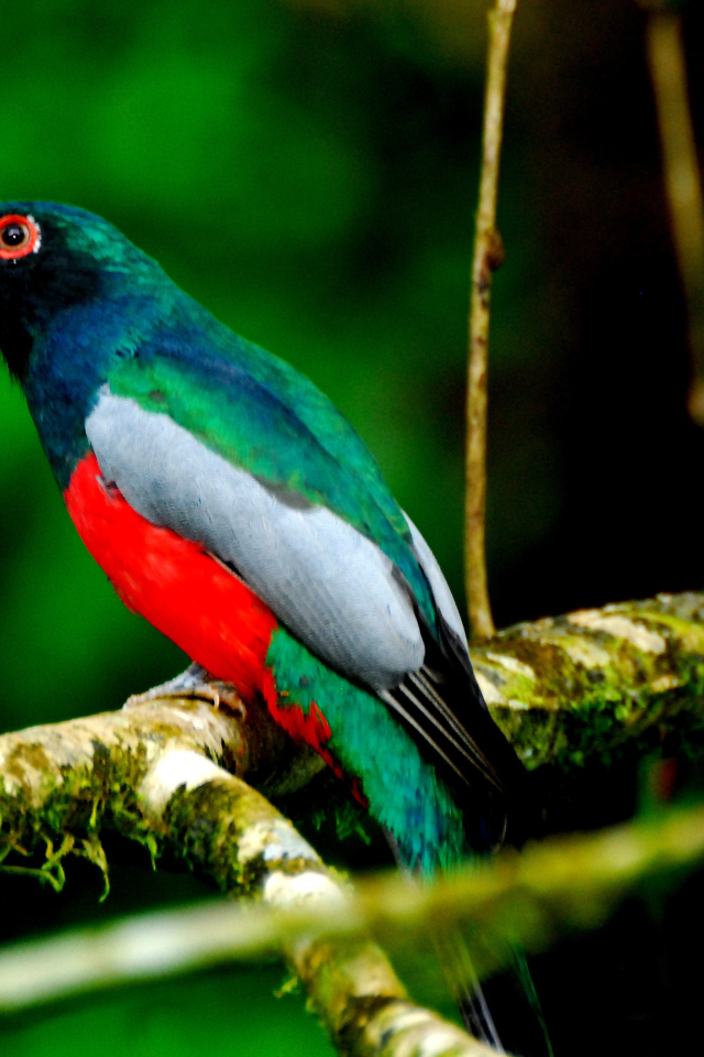 Захватывающие дух страна Коста-Рика