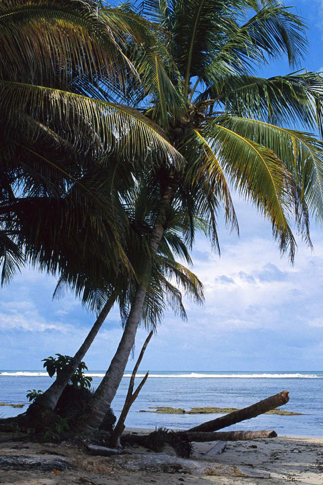 Невероятная страна Коста-Рика