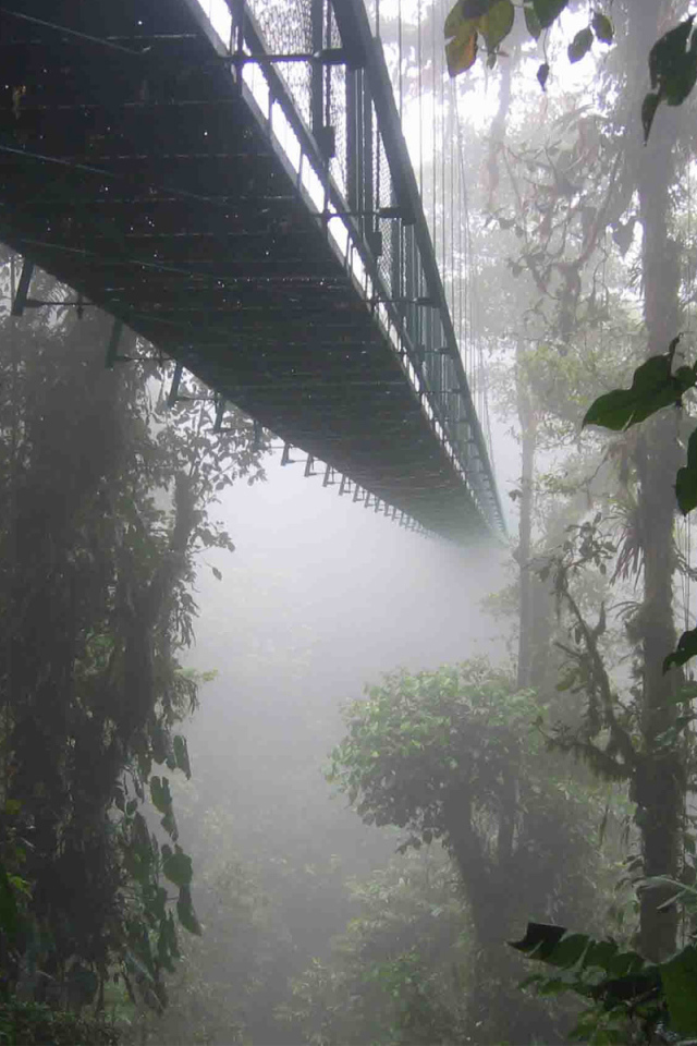 Удивительное место в Коста-Рика