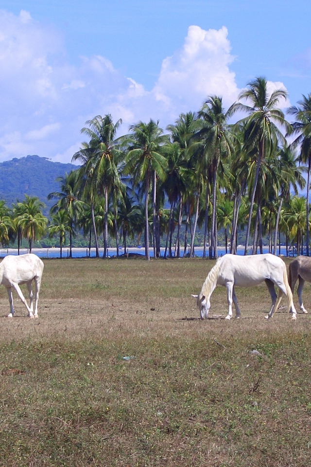 Популярное место в Коста-Рика