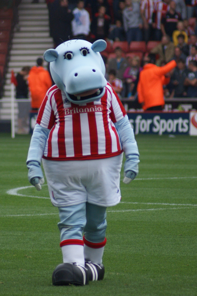 Известный ФК Сток Сити