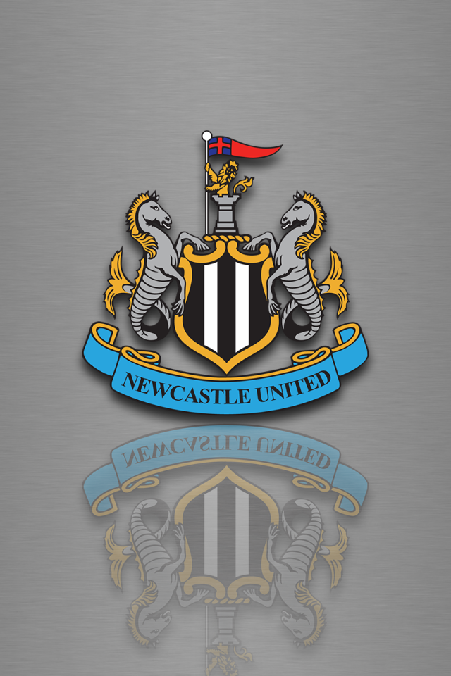 Известная футбольная команда Англии Ньюкасл Юнайтед