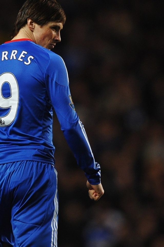 	   Footballer Fernando Torres