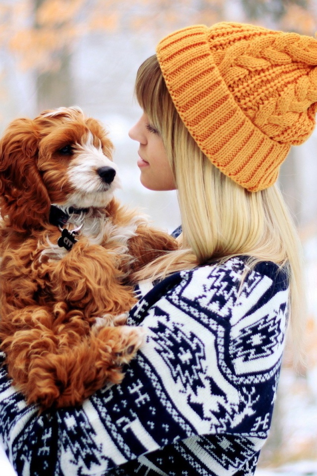 Девушка в свитере с рыжей собакой