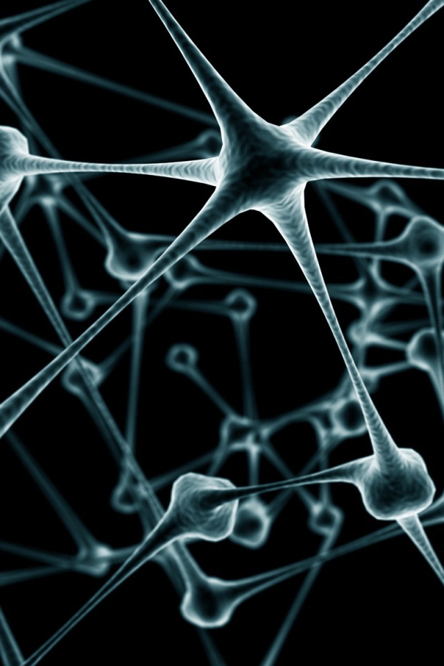 Связи нейронов в мозге