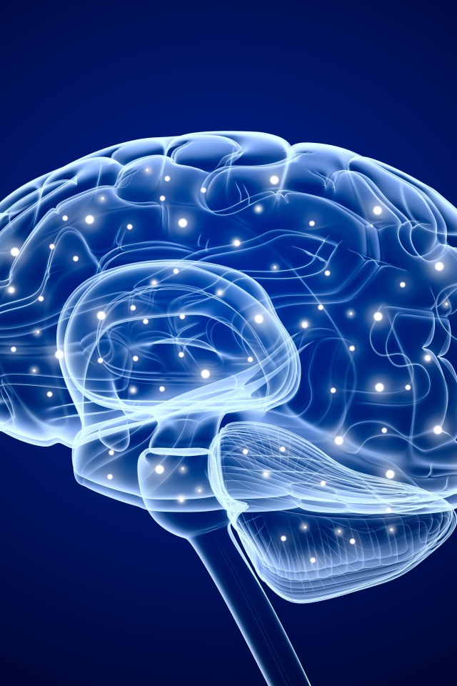 Электрические сигналы мозга