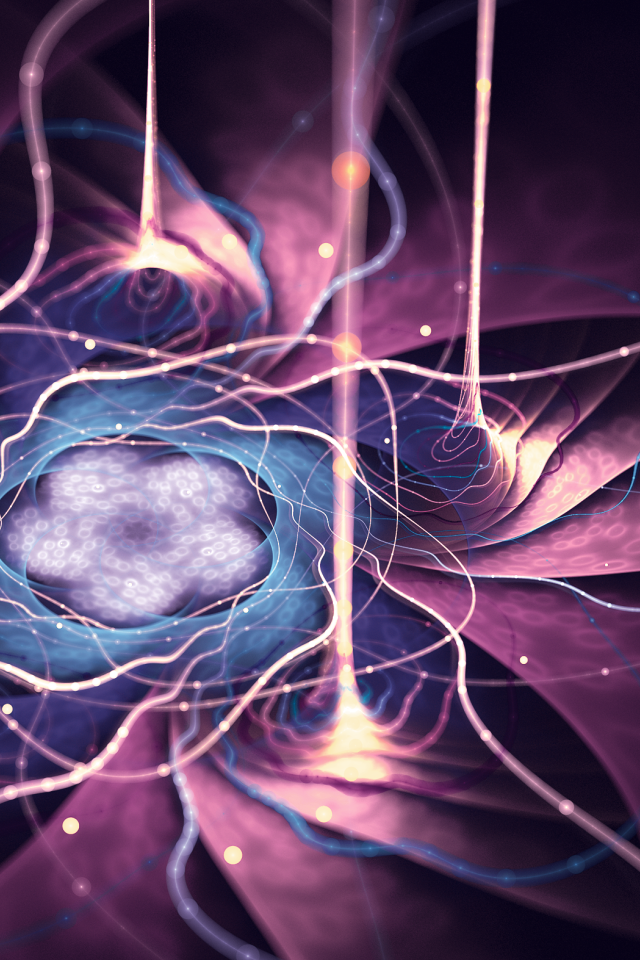 Потоки энергии фиолетового цветка