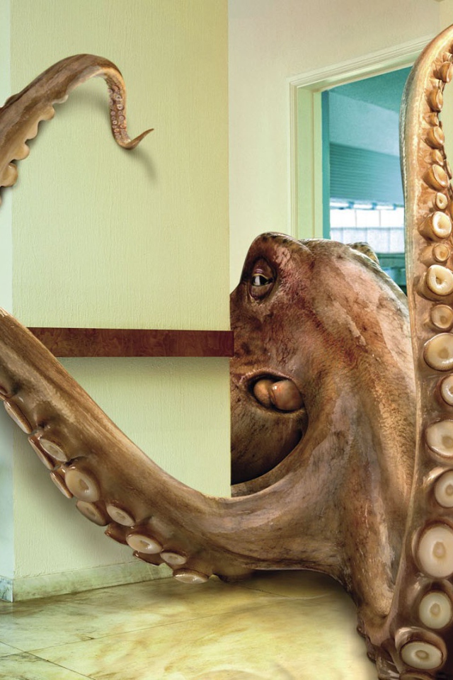 Осьминог в комнате, 3Д графика