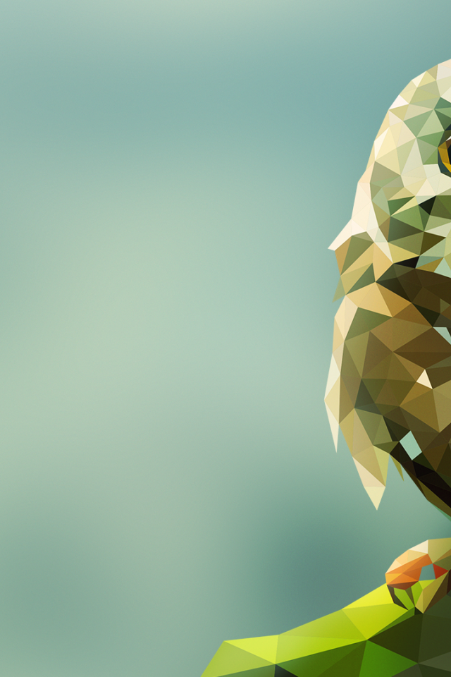 Сова на камне, 3Д графика